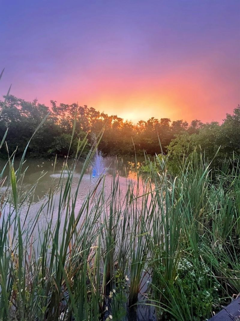 14399 Tamarac Drive, Bokeelia, FL 33922 Photo