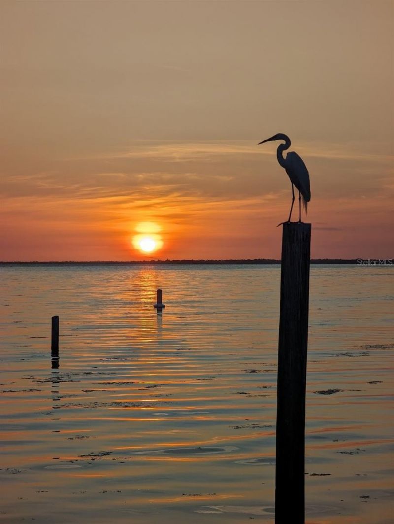 14399 Tamarac Drive, Bokeelia, FL 33922 Photo