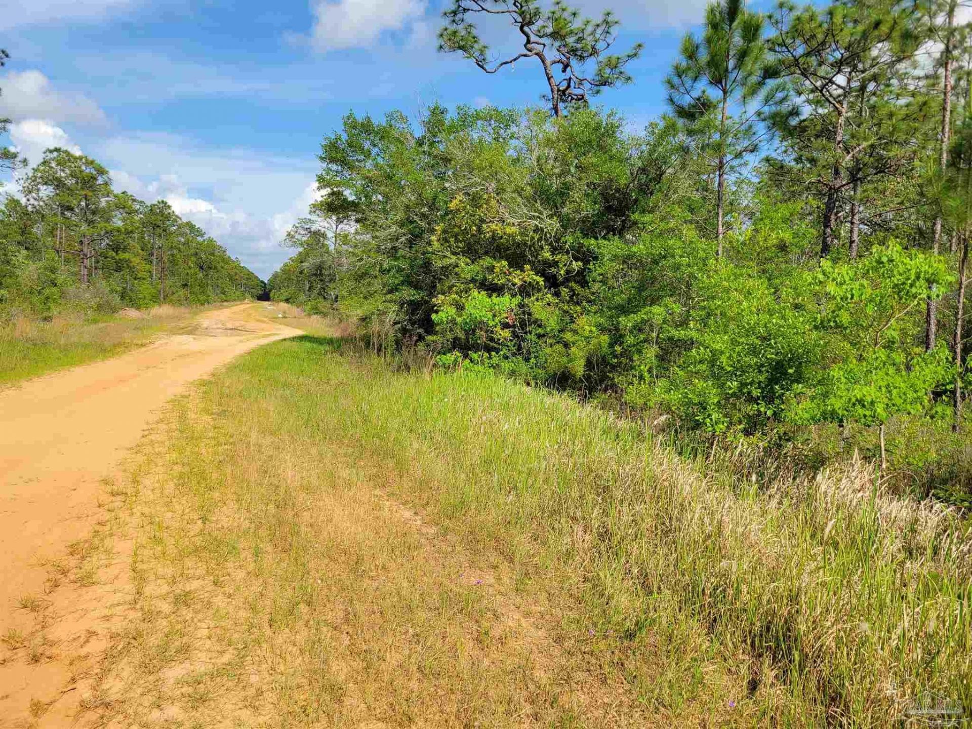 23 San Juan St, Milton, FL 32583 Main Photo