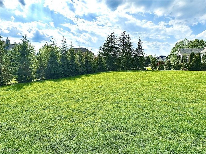 6470 Aberdeen Lane, Medina, OH 44256 Photo 6