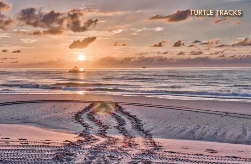 717 Cable Beach Lane, North Palm Beach, FL 33410 Photo