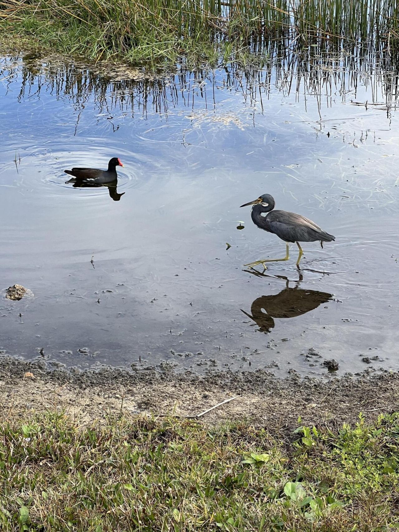 3904 NW Cinnamon Tree Circle, Jensen Beach, FL 34957 Photo