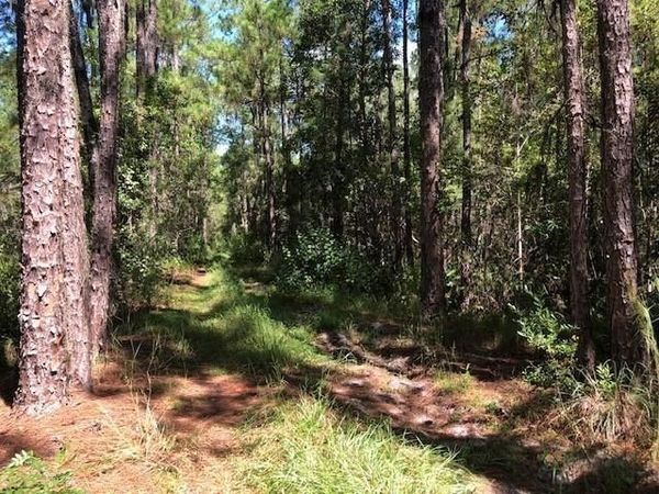 0 Old Grade Rd, Polk City, FL 33868