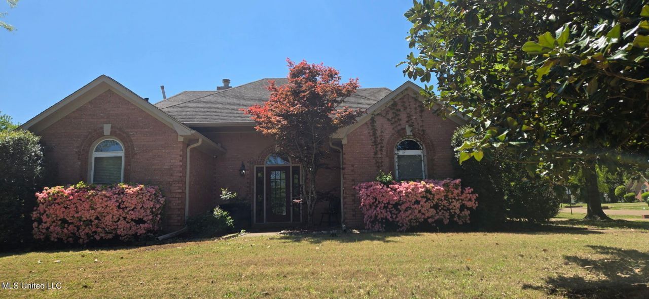 6080 Morgan Drive, Olive Branch, MS 38654 Main Photo