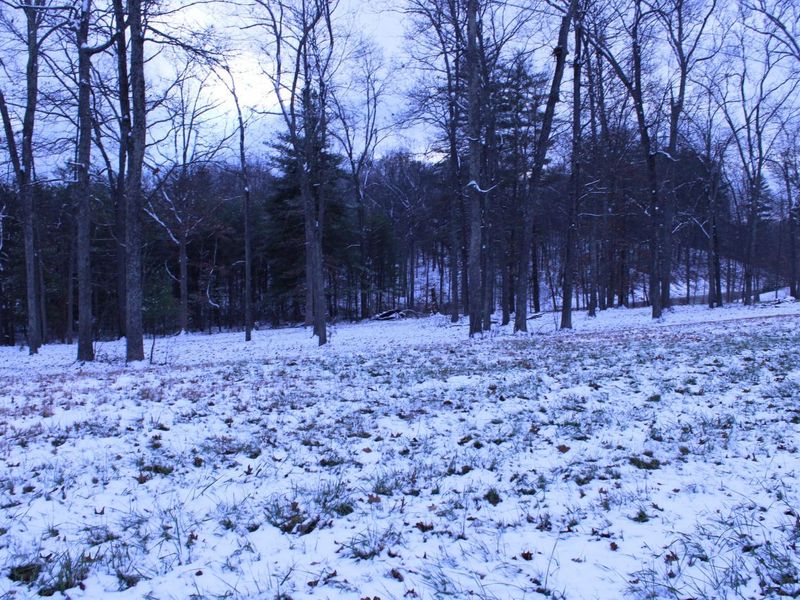 69265 US Highway 50, McArthur, OH 45651 Photo 14