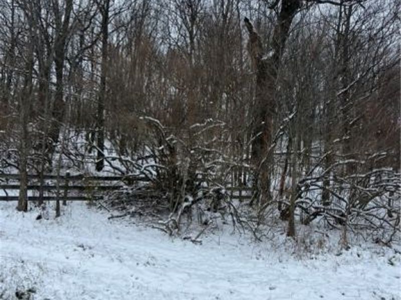 Rice Road, New Philadelphia, OH 44663 Photo 1