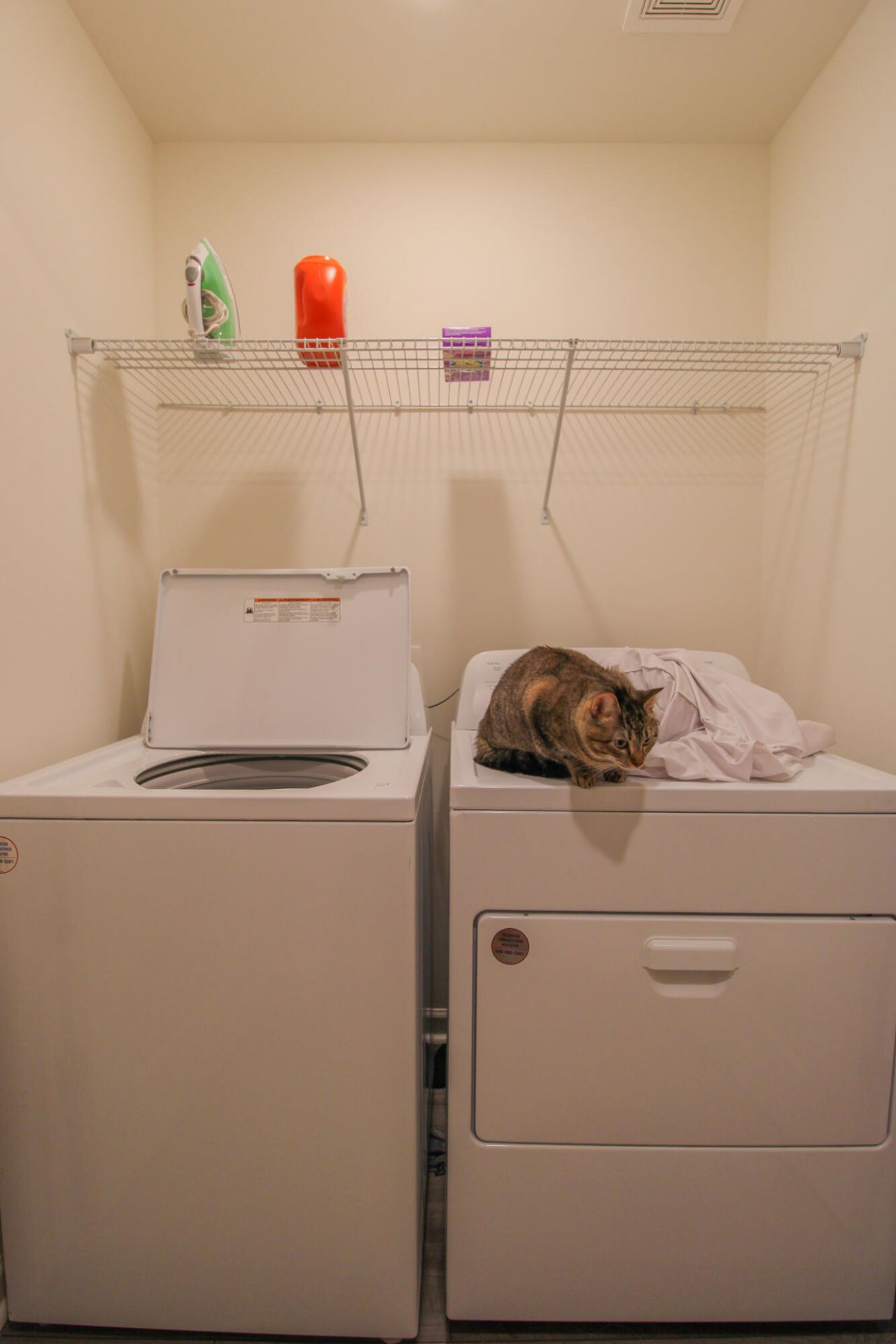 507 Scarlett Maple Street Photo 14