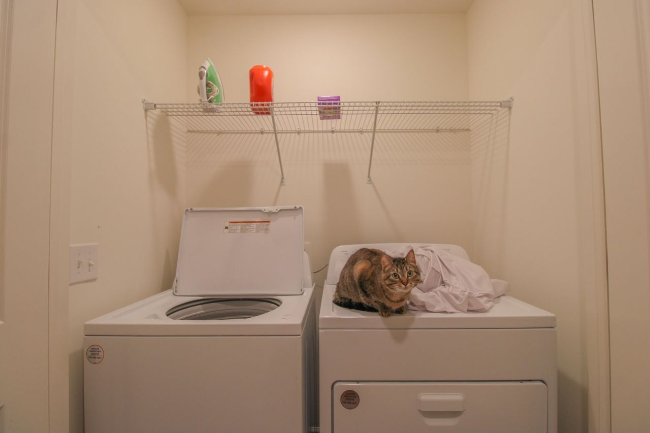 507 Scarlett Maple Street Photo 15