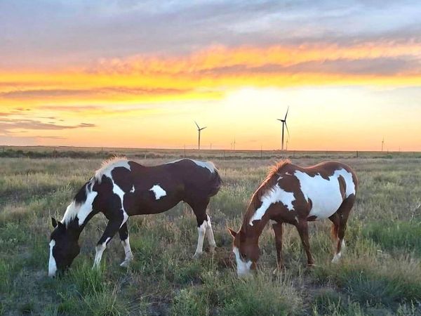 53647 County Road 36.4, Genoa, CO 80818