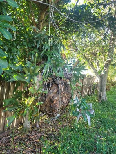 140 Fairview Ave , Fort Myers, FL 33905 Photo