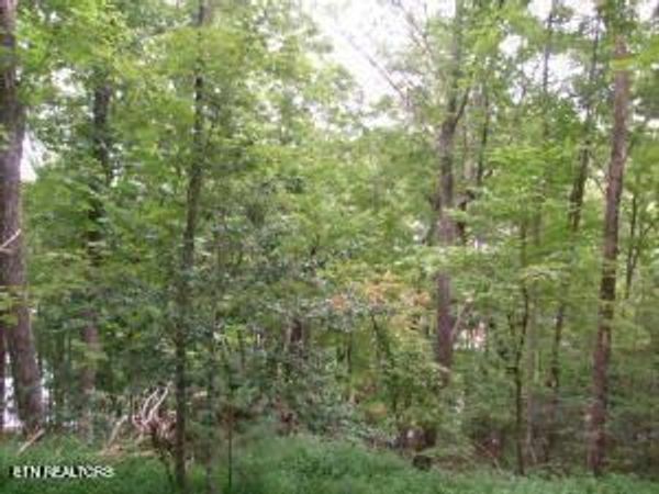 9304 Hondo Drive, Crossville, TN 38572