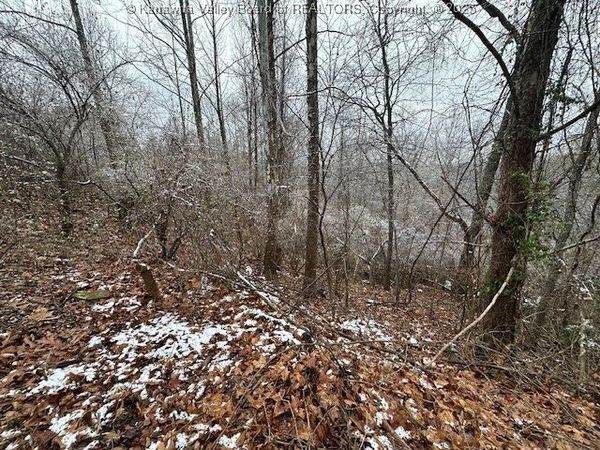 3988 Pinnacle View Road, Hurricane, WV 25526