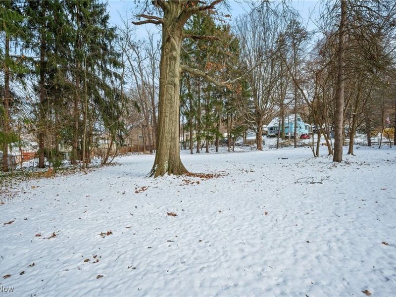 Burbank Avenue, Akron, OH 44305 Photo 20