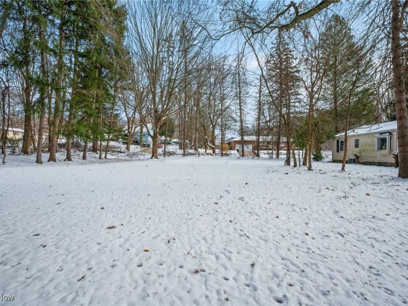 Burbank Avenue, Akron, OH 44305 Photo 21