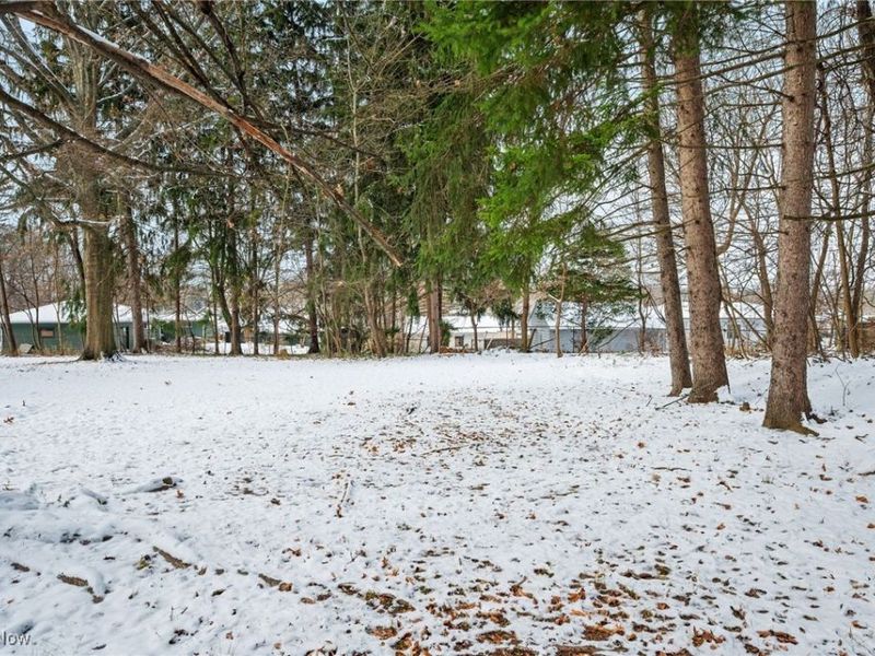 Burbank Avenue, Akron, OH 44305 Photo 26