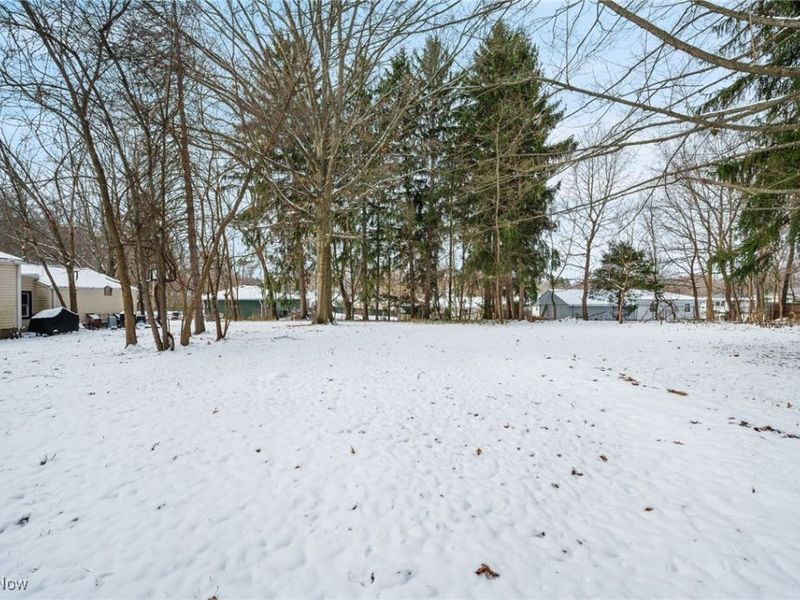 Burbank Avenue, Akron, OH 44305 Photo 27