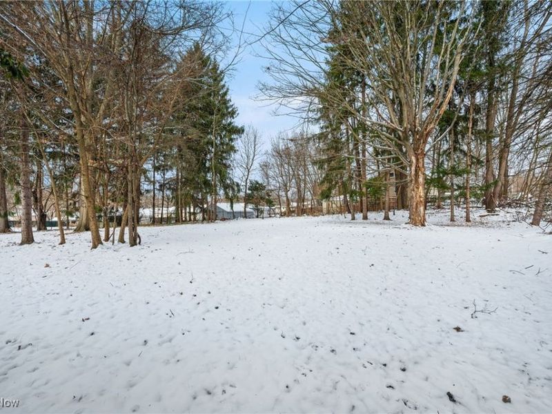 Burbank Avenue, Akron, OH 44305 Photo 28