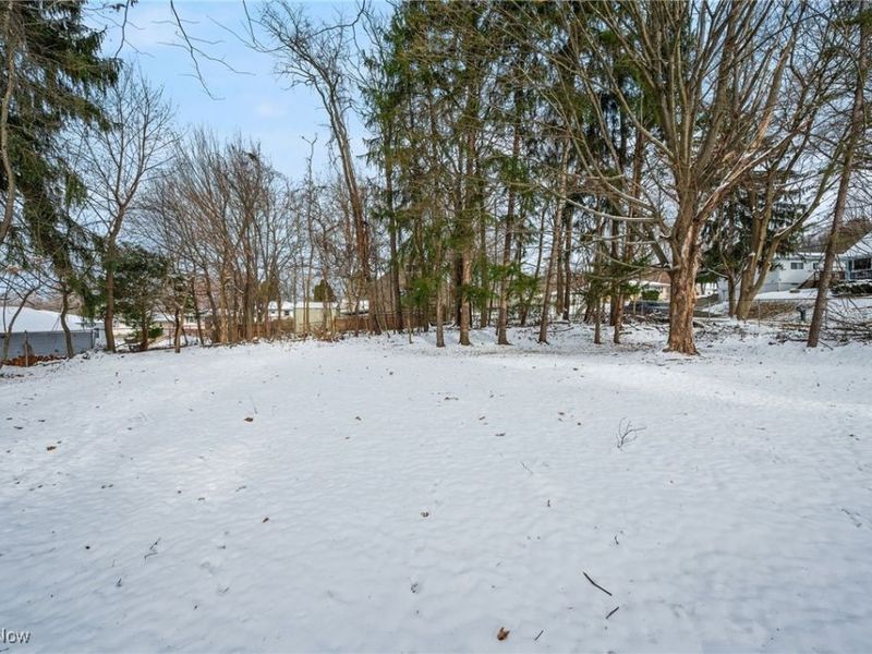 Burbank Avenue, Akron, OH 44305 Photo 29