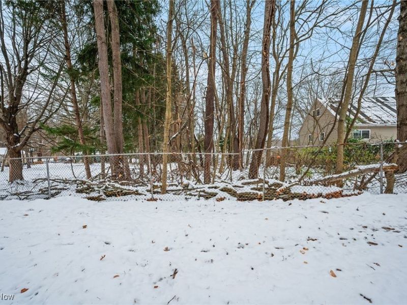 Burbank Avenue, Akron, OH 44305 Photo 30