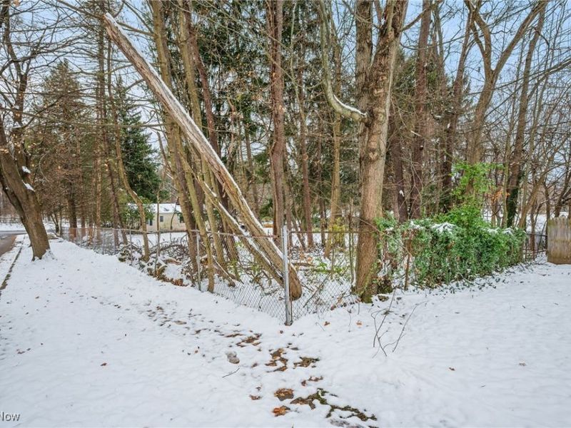 Burbank Avenue, Akron, OH 44305 Photo 31