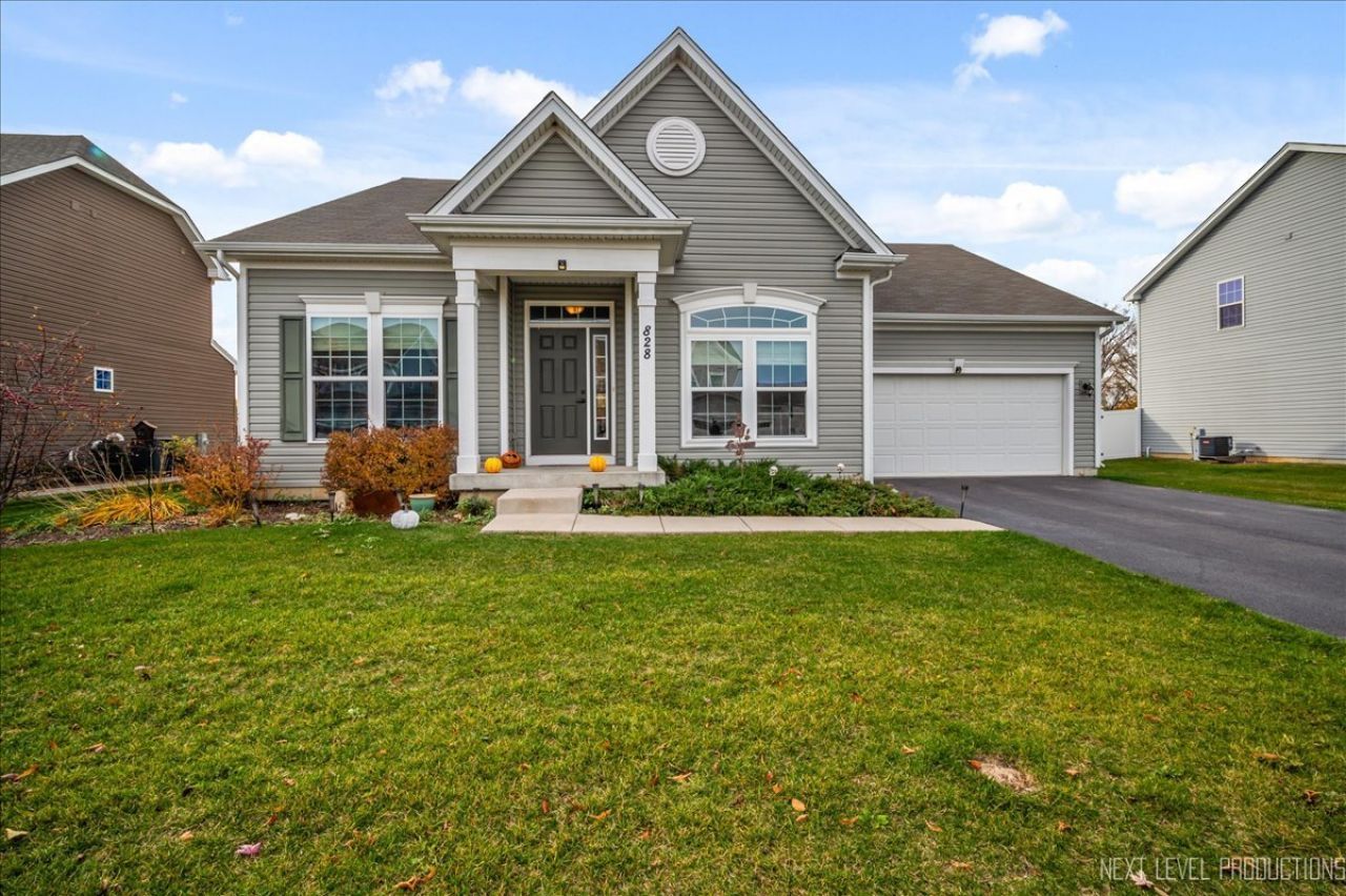 828 Mario Lane, Gilberts, IL 60136 Main Photo