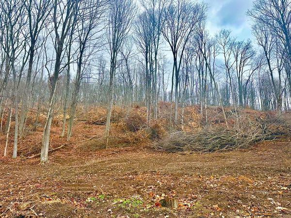 0 Lower Twin Road, South Salem, OH 45681