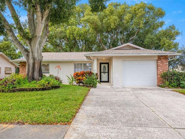 142 STAFFORD CIRCLE, PALM HARBOR, FL 34684