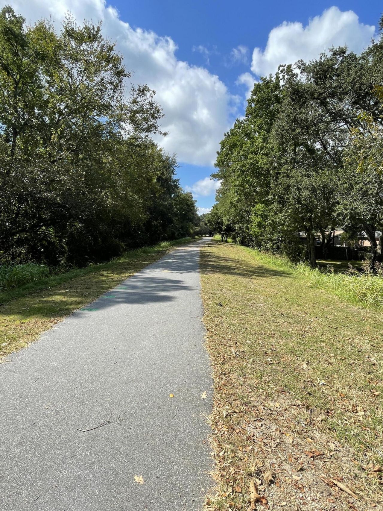 17 Riverdale Drive Photo 37