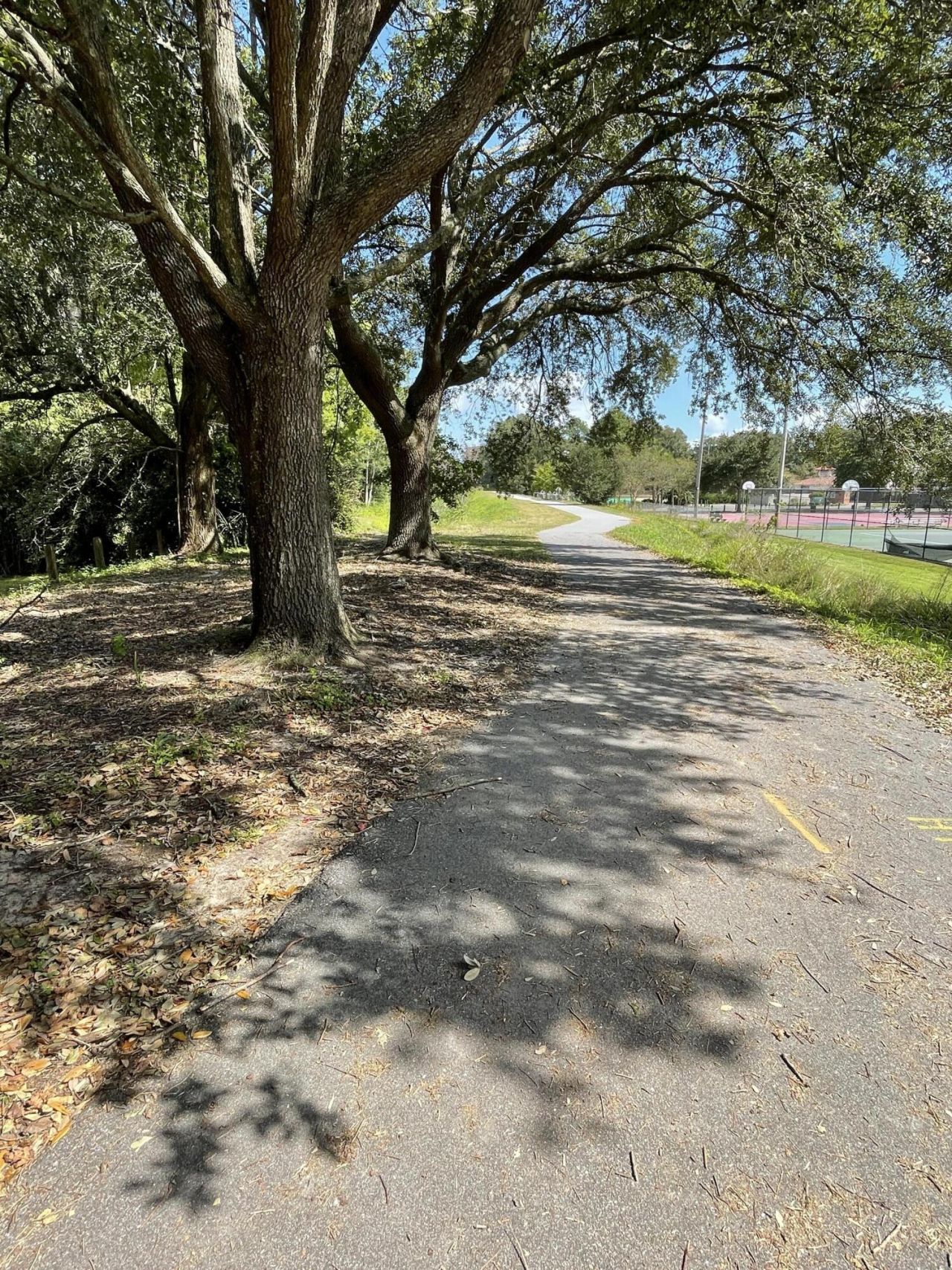 17 Riverdale Drive Photo 38