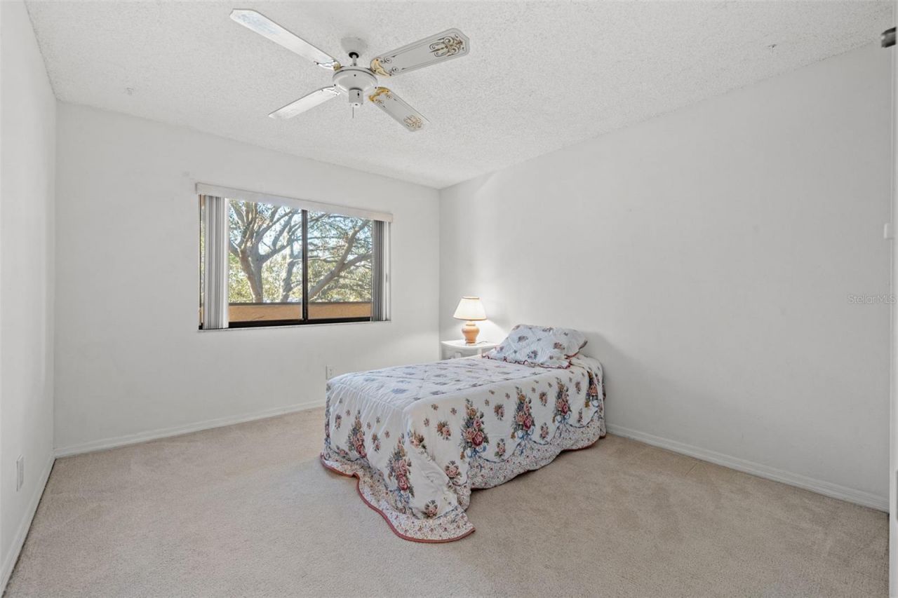 725 83rd Avenue N, Unit 205, Saint Petersburg, FL 33702 Photo