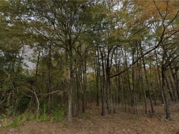 Lot 1-2 Southfield Road , Other AR, AR 71730