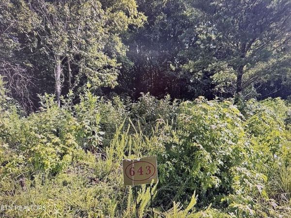 204 Majestic View Drive, Rockwood, TN 37854