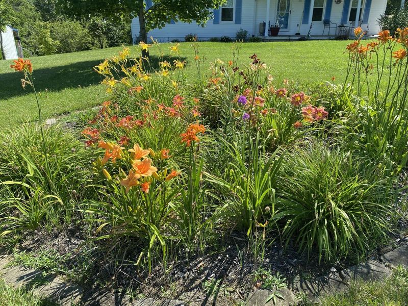 10730 Highway 330, Corinth, KY 41010 Photo 33