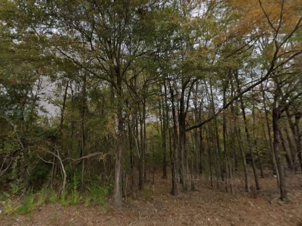 Lot 1-2 Southfield Road, El Dorado, AR 71730