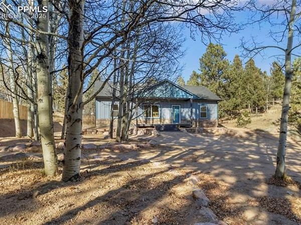 237 Columbine Road, Woodland Park, CO 80863