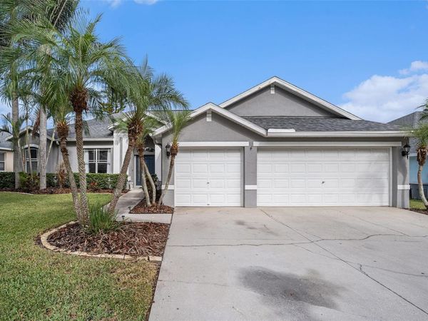 2846 DUNCAN TREE CIRCLE, VALRICO, FL 33594