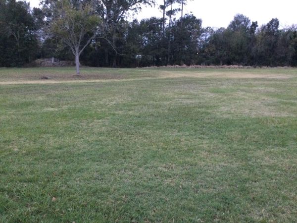 Trina Lane, Sulphur, LA 70663