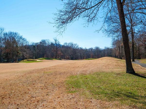 85 MAY APPLE LN, NELLYSFORD, VA 22958