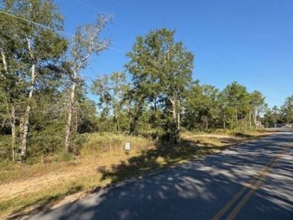 Lot 52 Howlin Road, DeFuniak Springs, FL 32433