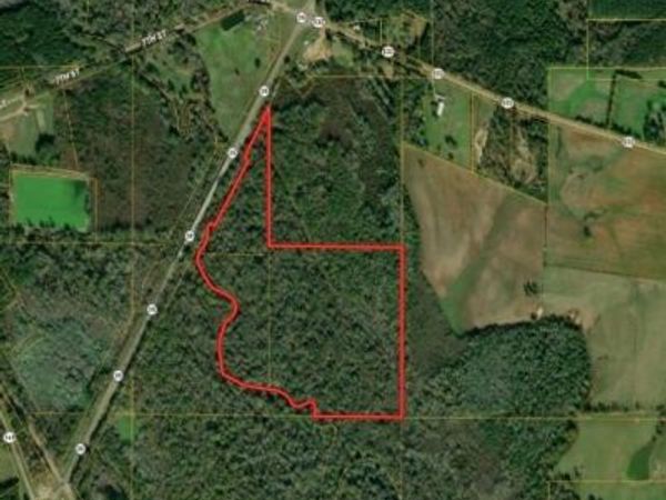 Highway 35 Mississippi 35 , Mount Olive, MS 39119