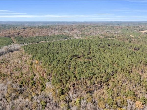 0000 Liberty Bottom Rd, Vernon, AL 35592