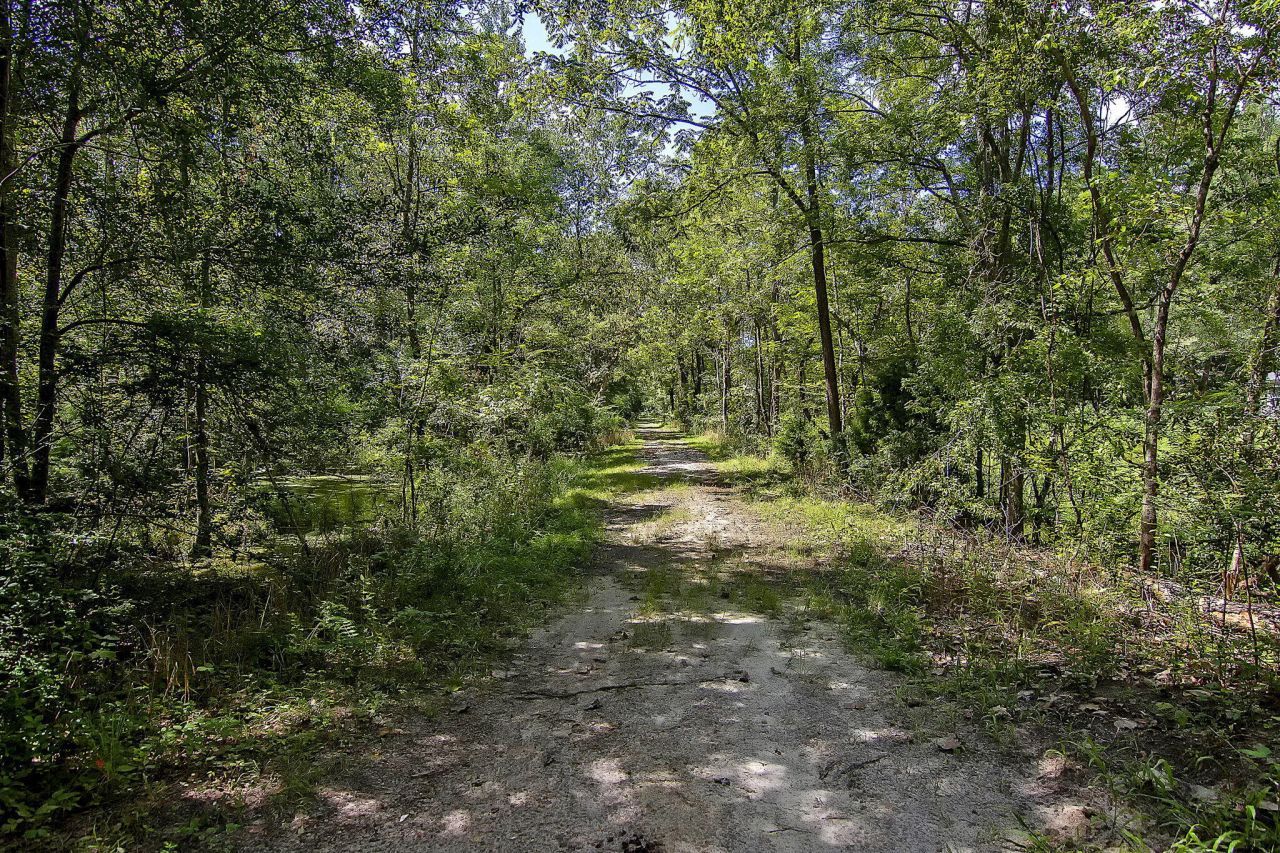 12 Creek Bend Drive Photo 54