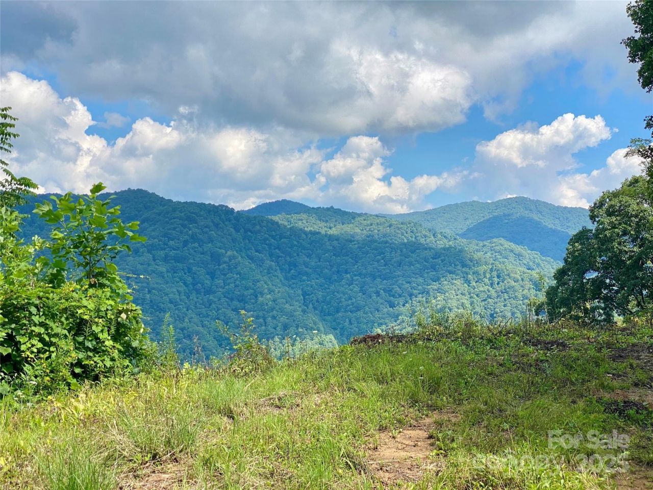 7858 Big Laurel Road, Marshall, NC 28753 Main Photo