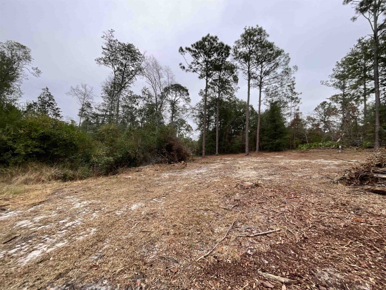 Vacant Joshua Road, Marianna, FL 32448 Photo