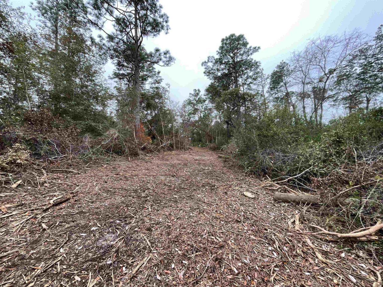 Vacant Joshua Road, Marianna, FL 32448 Photo