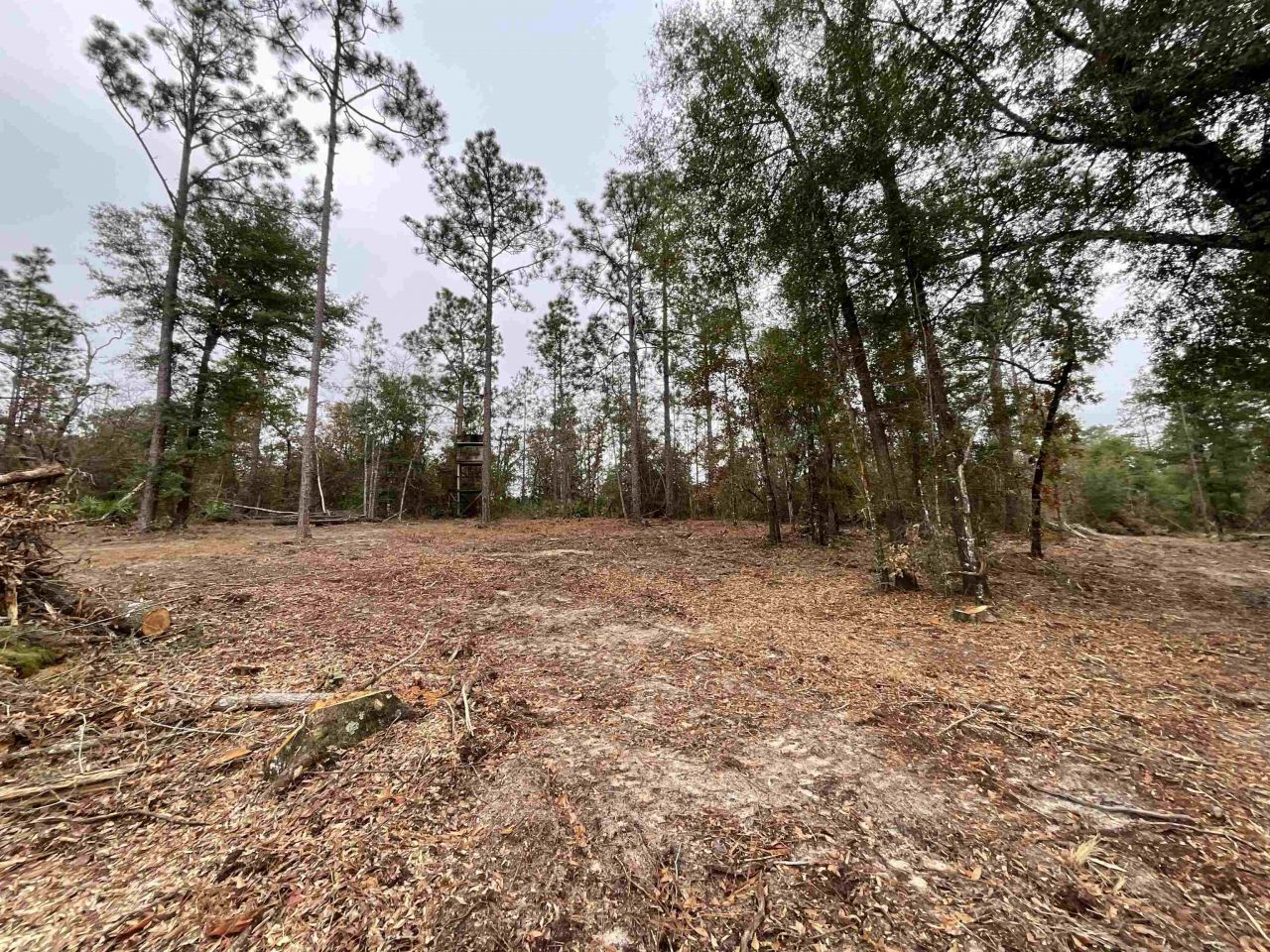 Vacant Joshua Road, Marianna, FL 32448 Photo
