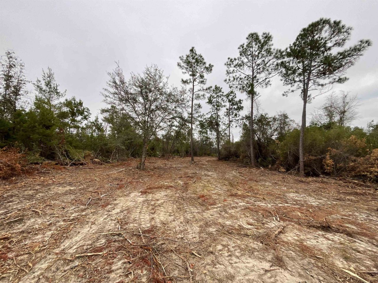 Vacant Joshua Road, Marianna, FL 32448 Photo