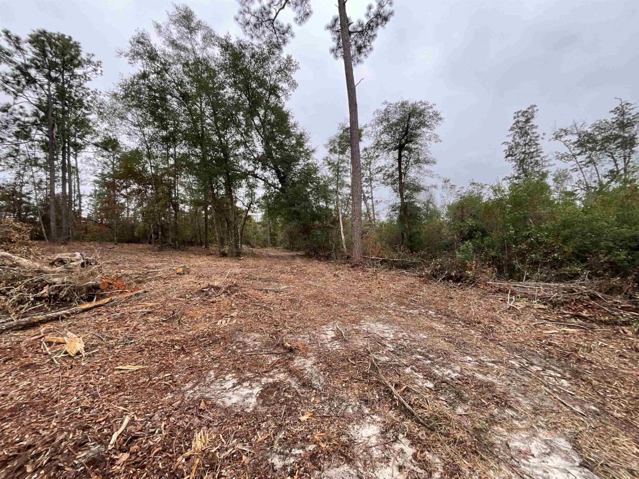 Vacant Joshua Road, Marianna, FL 32448 Photo