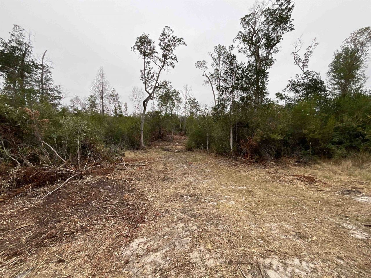 Vacant Joshua Road, Marianna, FL 32448 Photo