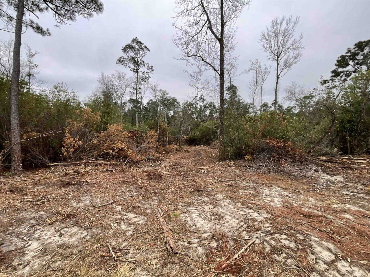 Vacant Joshua Road, Marianna, FL 32448 Photo